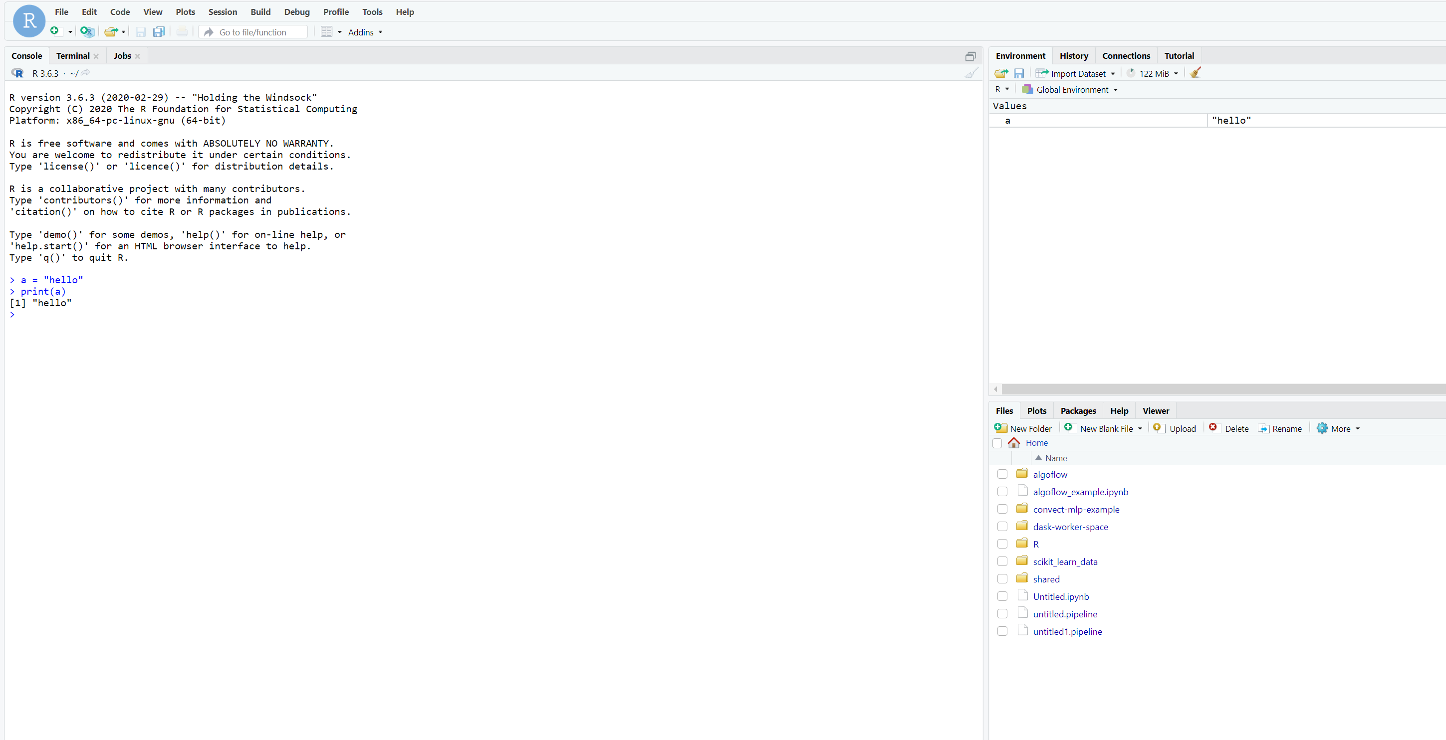 RStudio env